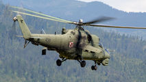 Poland - Army 459 image