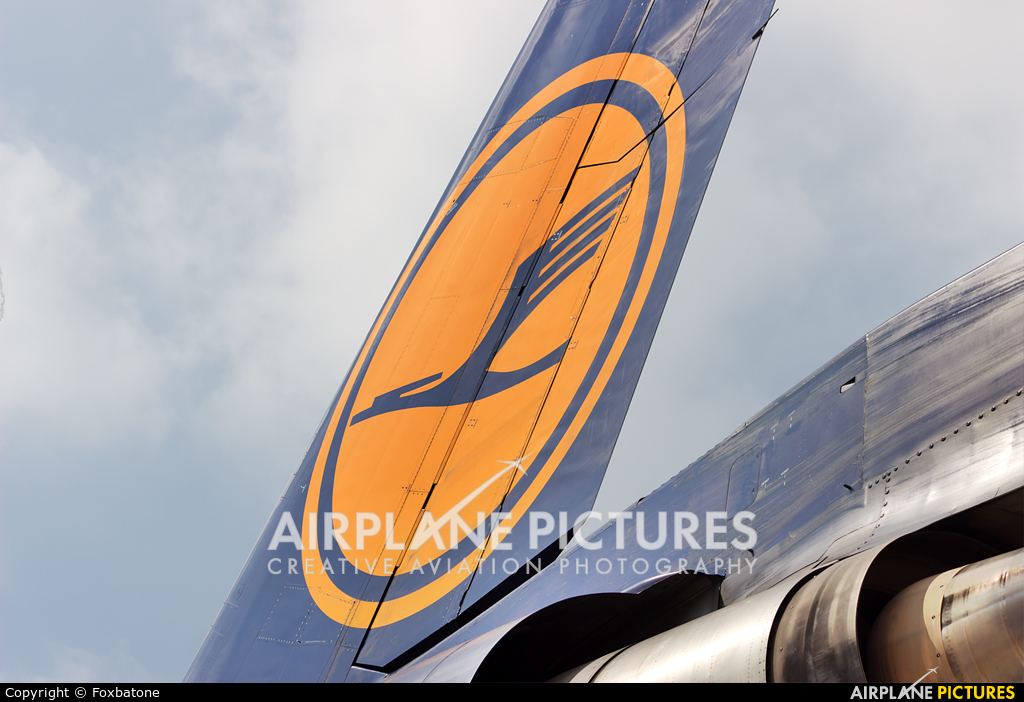 Lufthansa Cargo D-ALCJ aircraft at Delhi - Indira Gandhi Intl