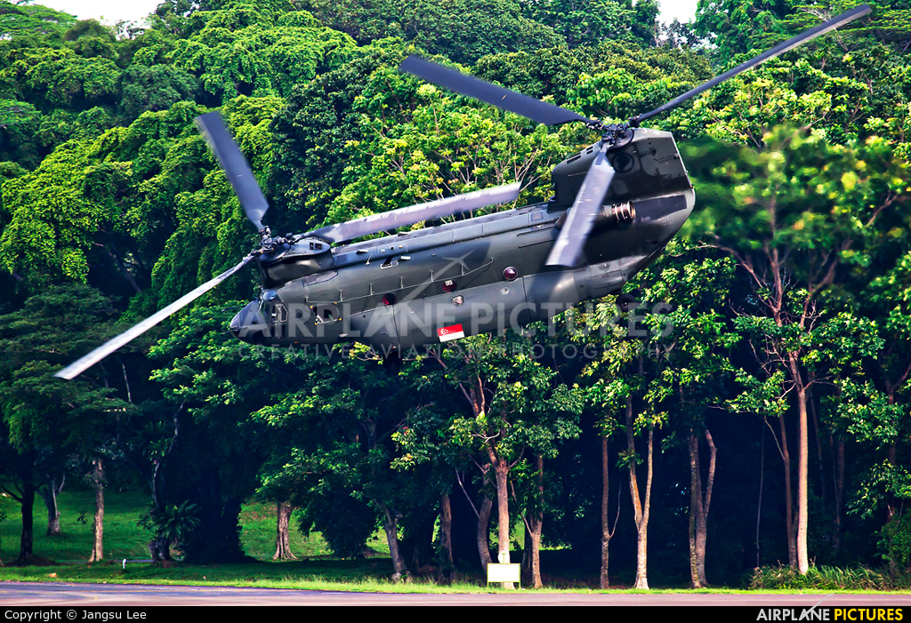 Singapore - Air Force 88199 aircraft at Paya Lebar