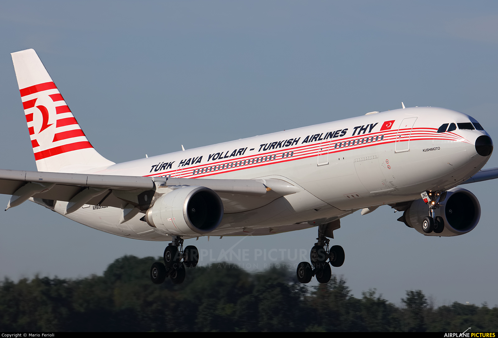 Turkish Airlines TC-JNC aircraft at Milan - Malpensa