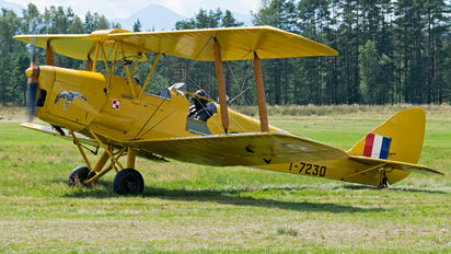 SP-YAA - Private de Havilland DH. 82 Tiger Moth