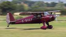G-BVGY - Private Luscombe 8E Silvaire Deluxe aircraft