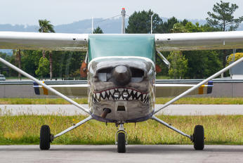 EC-FOO - Private Cessna 172 Skyhawk (all models except RG)