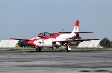 1 - Poland - Air Force: White & Red Iskras PZL TS-11 Iskra