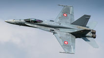 J-5010 - Switzerland - Air Force McDonnell Douglas F/A-18C Hornet aircraft