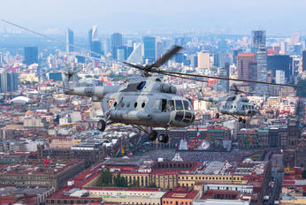 1722 - Mexico - Air Force Mil Mi-17