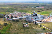 1704 - Mexico - Air Force Mil Mi-17-1V aircraft