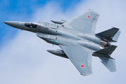 42-8836 - Japan - Air Self Defence Force Mitsubishi F-15J aircraft