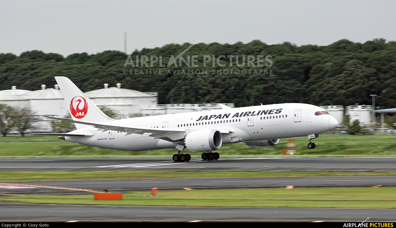 JAL - Japan Airlines JA836J aircraft at Tokyo - Narita Intl