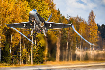 HN-443 - Finland - Air Force McDonnell Douglas F-18C Hornet