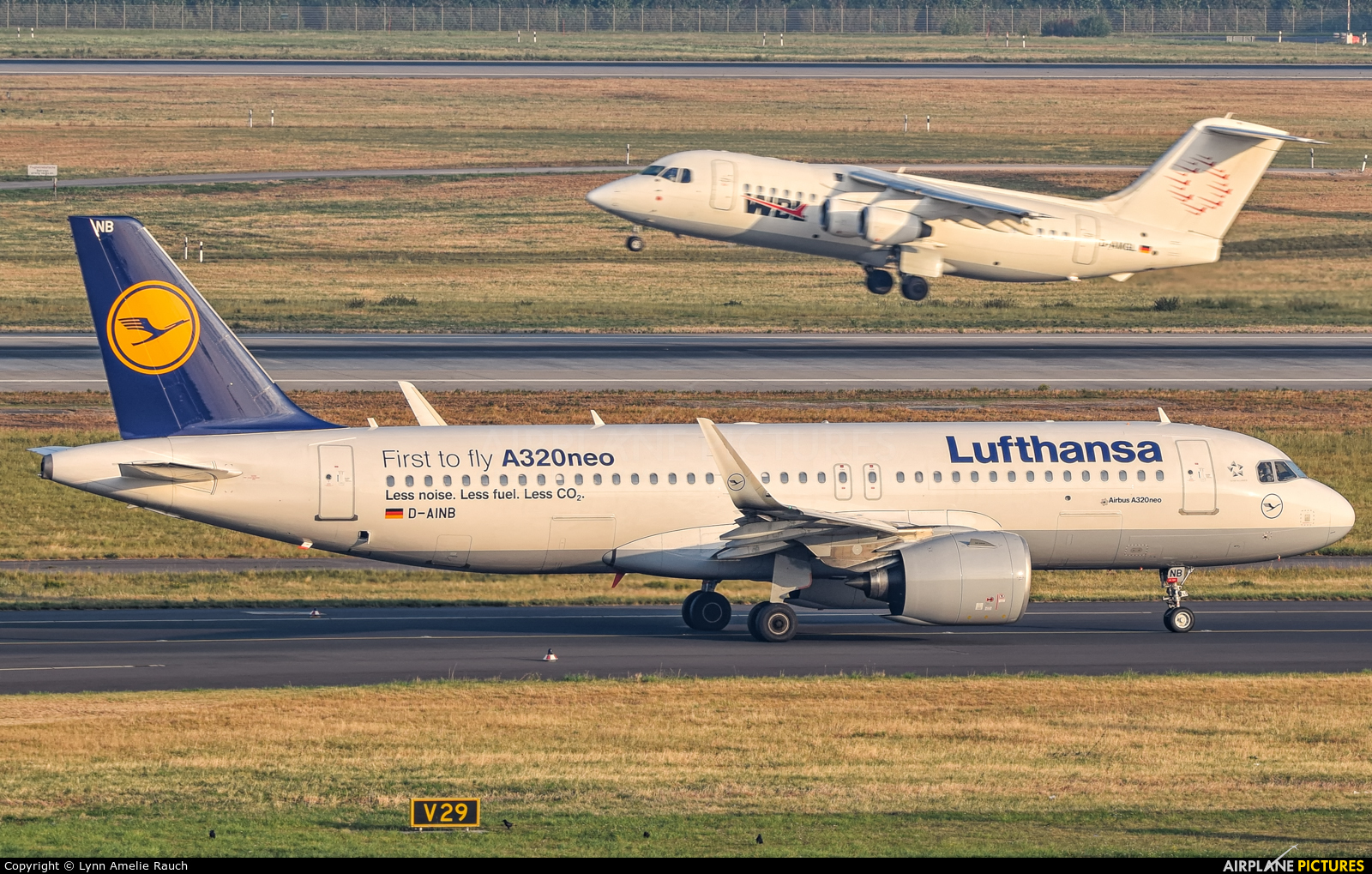 Lufthansa D-AINB aircraft at Düsseldorf