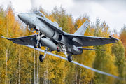 HN-417 - Finland - Air Force McDonnell Douglas F-18C Hornet aircraft