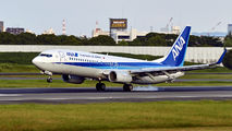 JA73AN - ANA - All Nippon Airways Boeing 737-800 aircraft