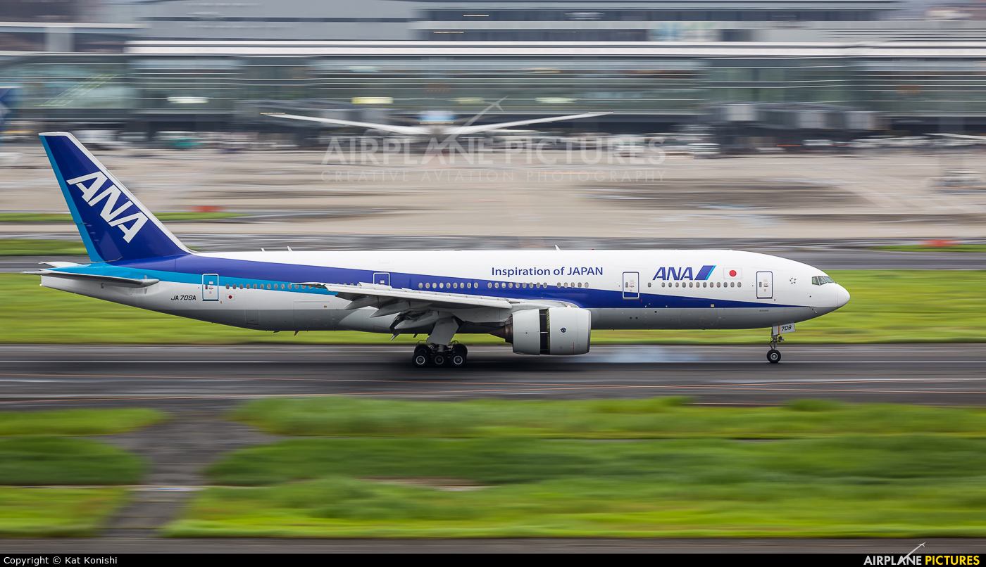 ANA - All Nippon Airways JA709A aircraft at Tokyo - Haneda Intl