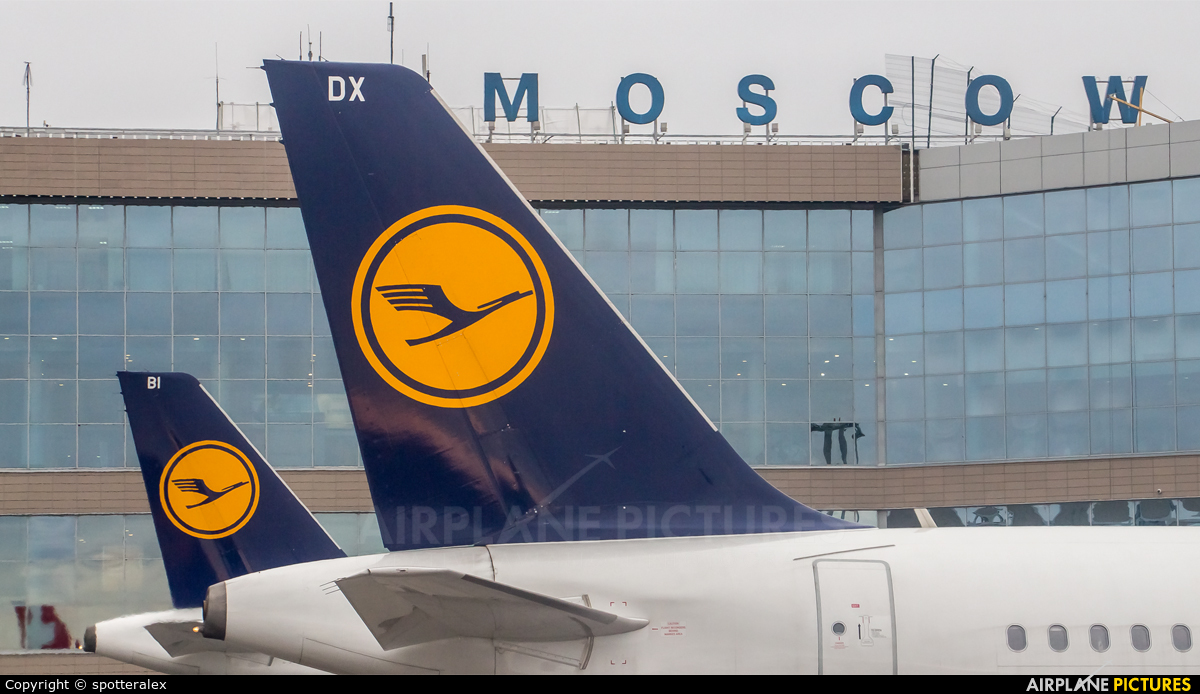 Lufthansa D-AIDX aircraft at Moscow - Domodedovo