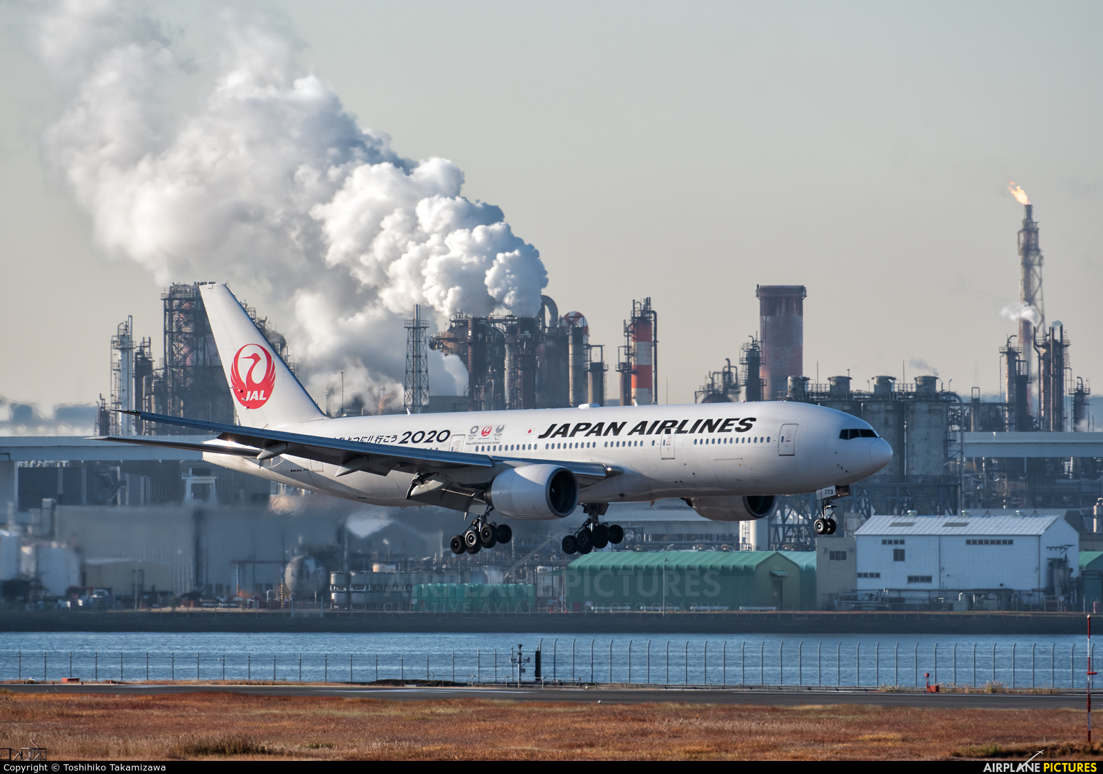 JAL - Japan Airlines JA773J aircraft at Tokyo - Haneda Intl