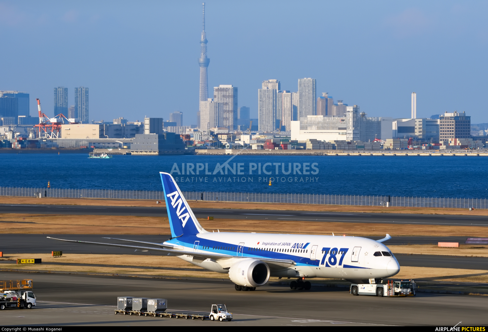ANA - All Nippon Airways JA803A aircraft at Tokyo - Haneda Intl