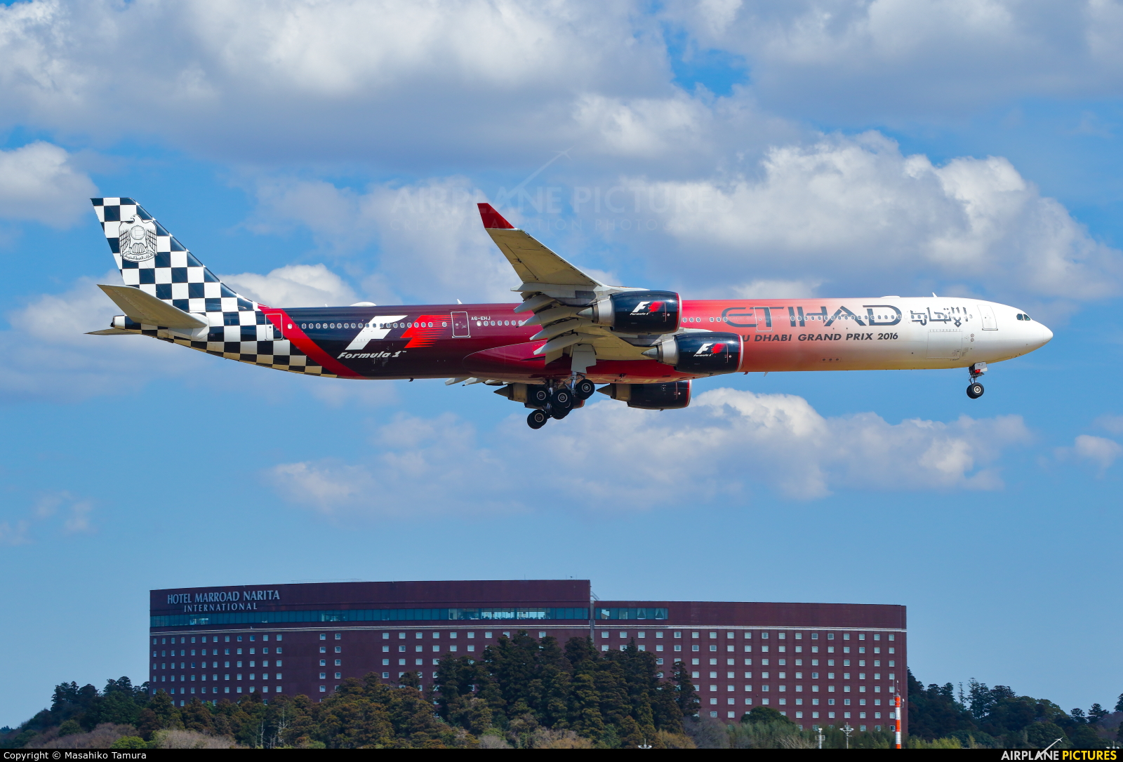 Etihad Airways A6-EHJ aircraft at Tokyo - Narita Intl