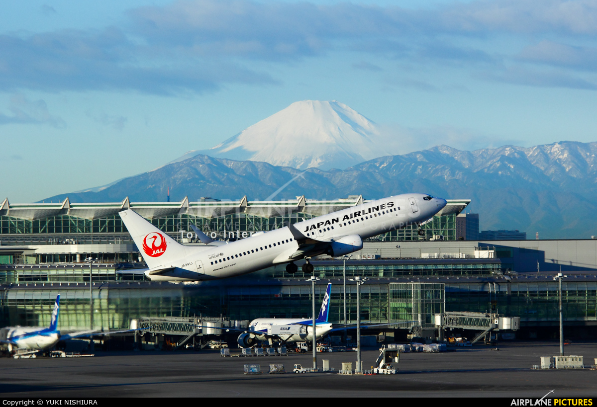 JAL - Japan Airlines JA341J aircraft at Tokyo - Haneda Intl