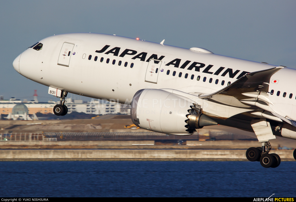 JAL - Japan Airlines JA831J aircraft at Tokyo - Haneda Intl