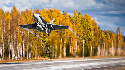 HN-439 - Finland - Air Force McDonnell Douglas F-18C Hornet