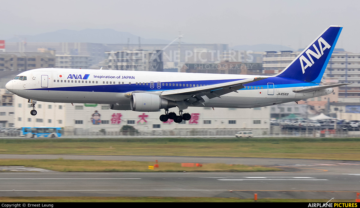 ANA - All Nippon Airways JA8569 aircraft at Fukuoka
