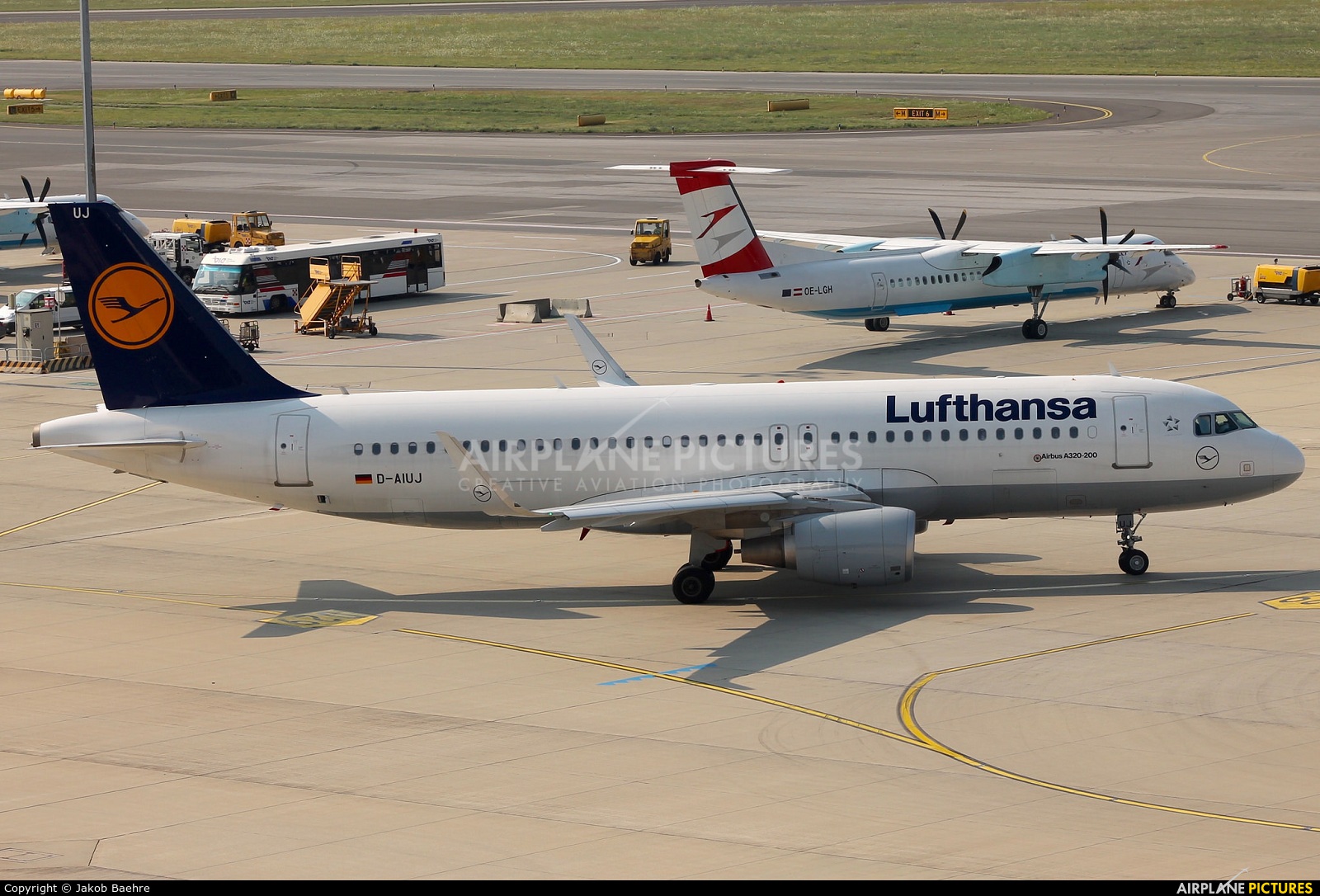 Lufthansa D-AIUJ aircraft at Vienna - Schwechat