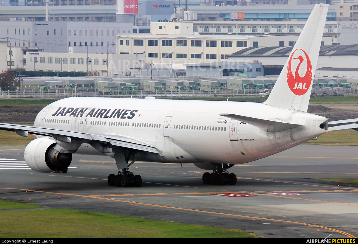 JAL - Japan Airlines JA007D aircraft at Fukuoka