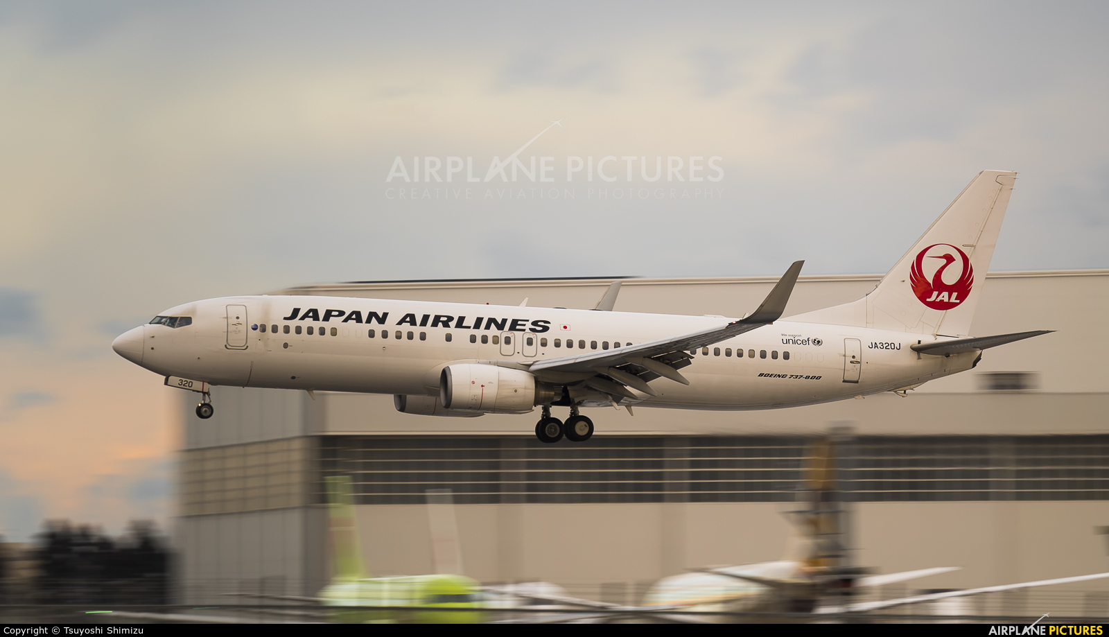 JAL - Japan Airlines JA320J aircraft at Tokyo - Narita Intl