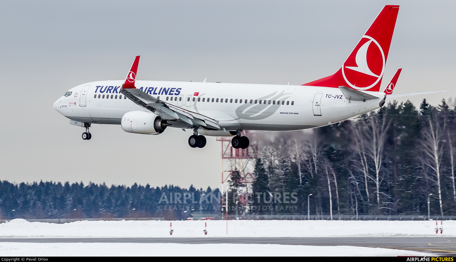 Turkish Airlines TC-JVZ aircraft at Moscow - Vnukovo