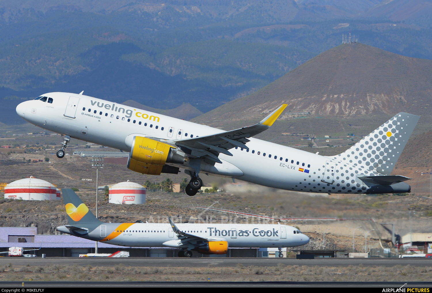 Vueling Airlines EC-LVX aircraft at Tenerife Sur - Reina Sofia