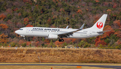 JA347J - JAL - Japan Airlines Boeing 737-800