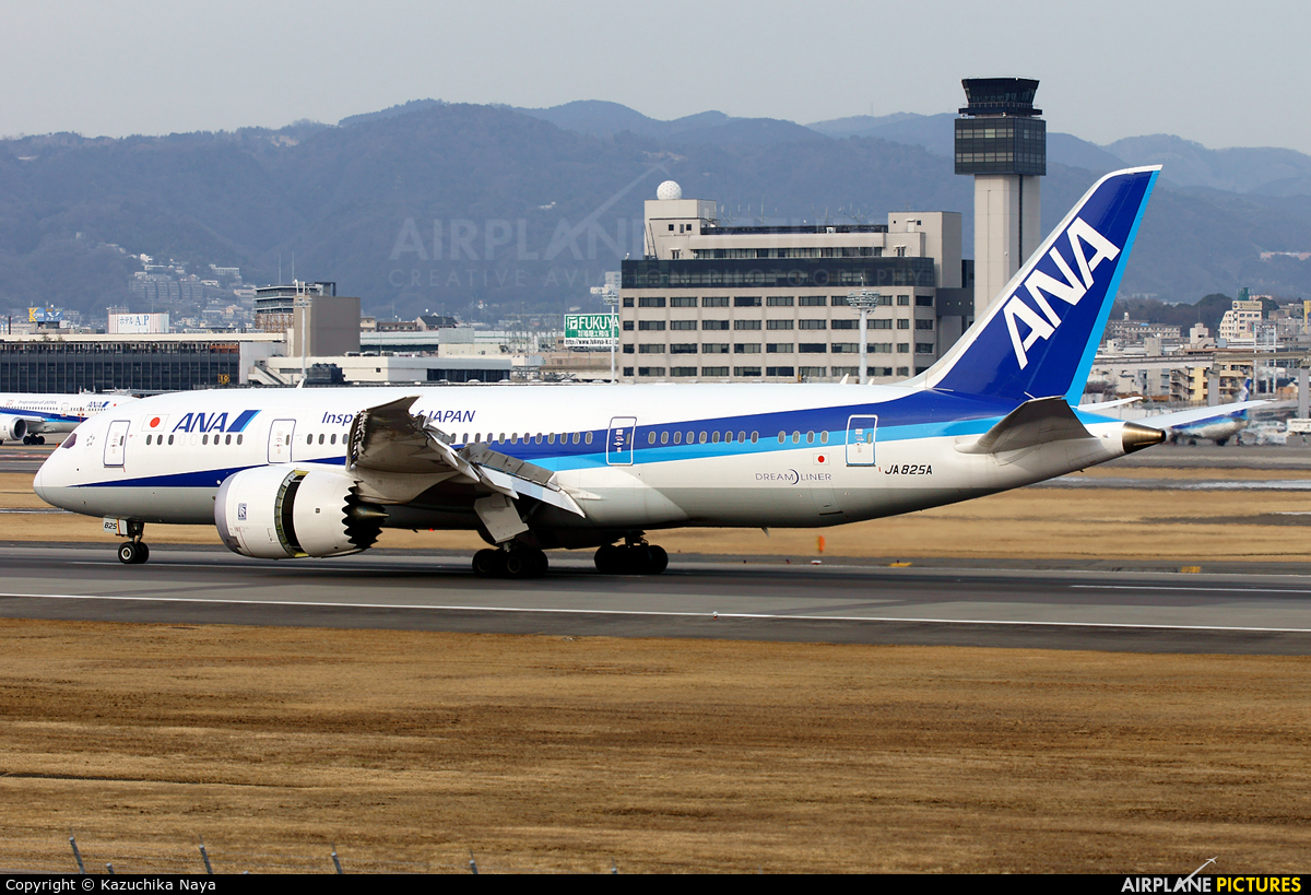 ANA - All Nippon Airways JA825A aircraft at Osaka - Itami Intl