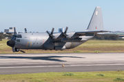 16805 - Portugal - Air Force Lockheed C-130H Hercules aircraft