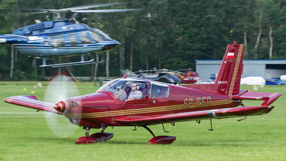 SP-RED - Private Zlín Aircraft Z-143L
