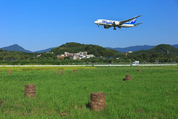 - - ANA - All Nippon Airways - Airport Overview - Photography Location