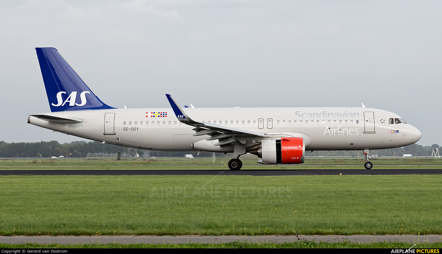 SAS - Scandinavian Airlines SE-DOY aircraft at Amsterdam - Schiphol