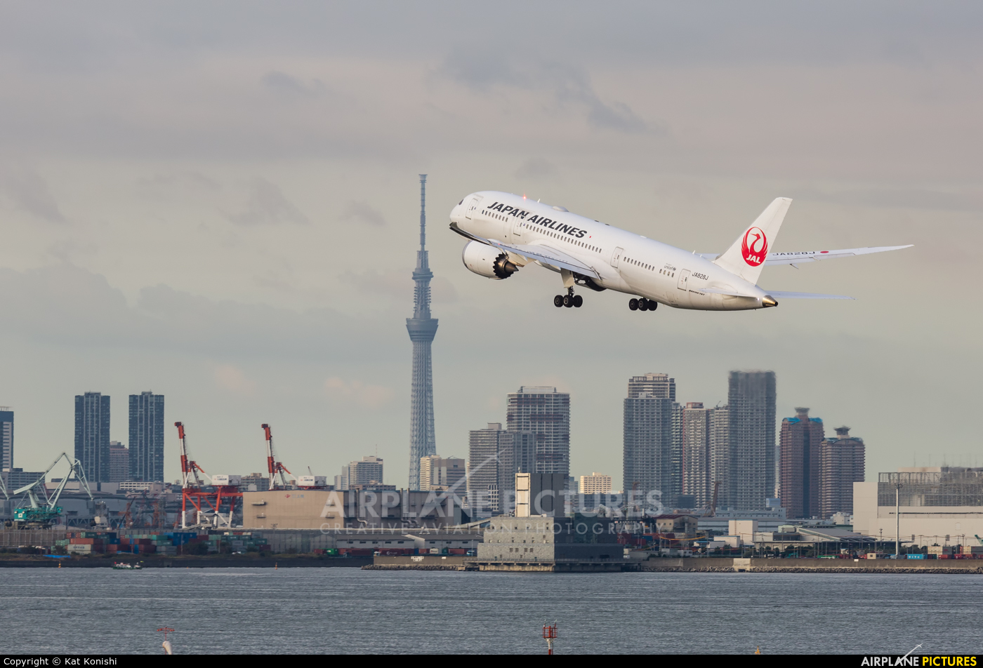 JAL - Japan Airlines JA828J aircraft at Tokyo - Haneda Intl