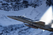 J-5021 - Switzerland - Air Force McDonnell Douglas F-18C Hornet aircraft