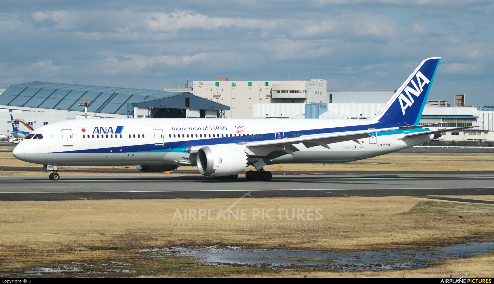 ANA - All Nippon Airways JA830A aircraft at Osaka - Itami Intl