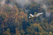 J-5009 - Switzerland - Air Force McDonnell Douglas F/A-18C Hornet aircraft