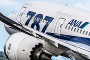 JA816A - ANA - All Nippon Airways Boeing 787-8 Dreamliner aircraft