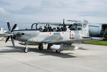 ANX-1310 - Mexico - Navy Hawker Beechcraft T-6C Texan II