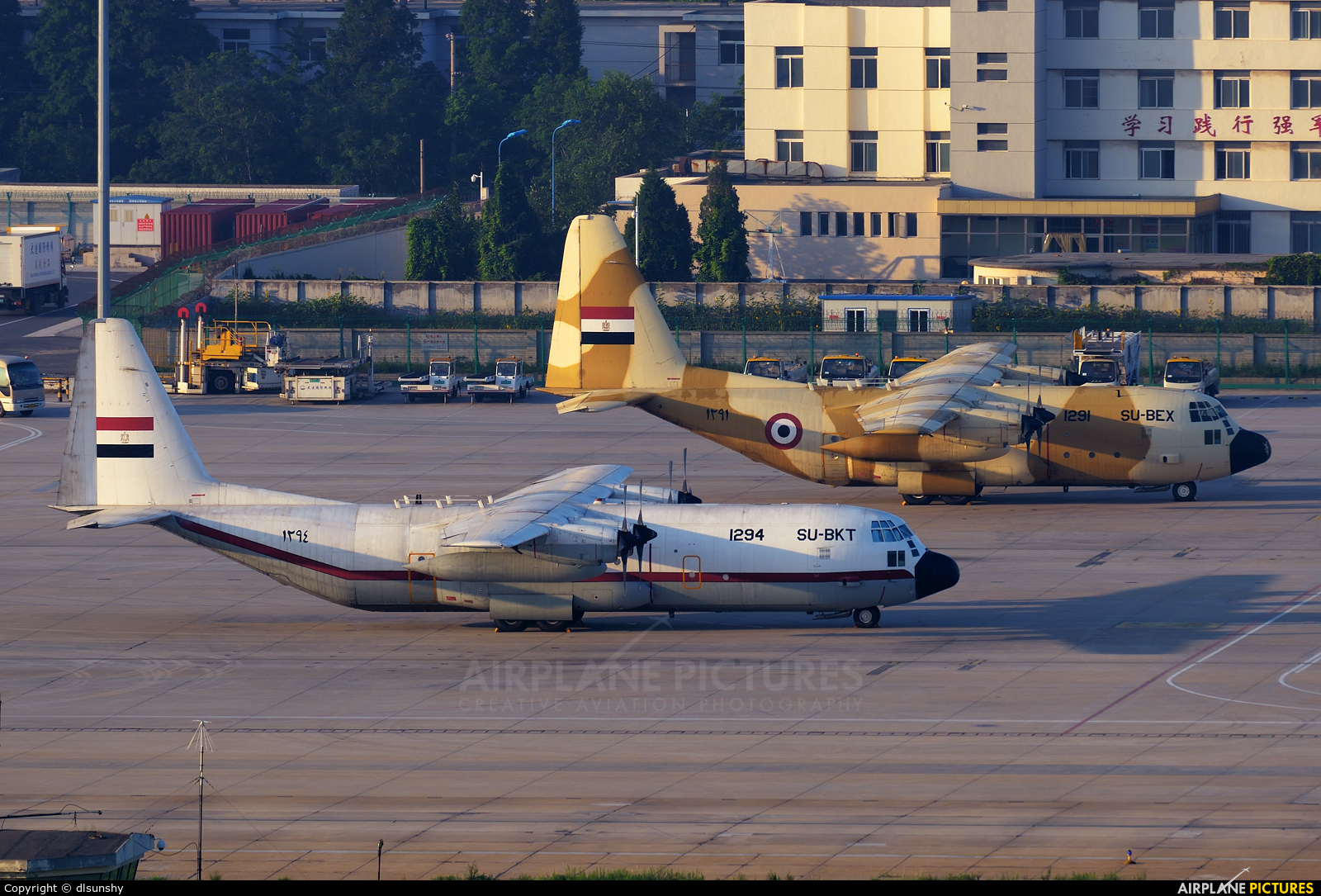 Egypt - Air Force 1294 aircraft at Dalian Zhoushuizi Int'l