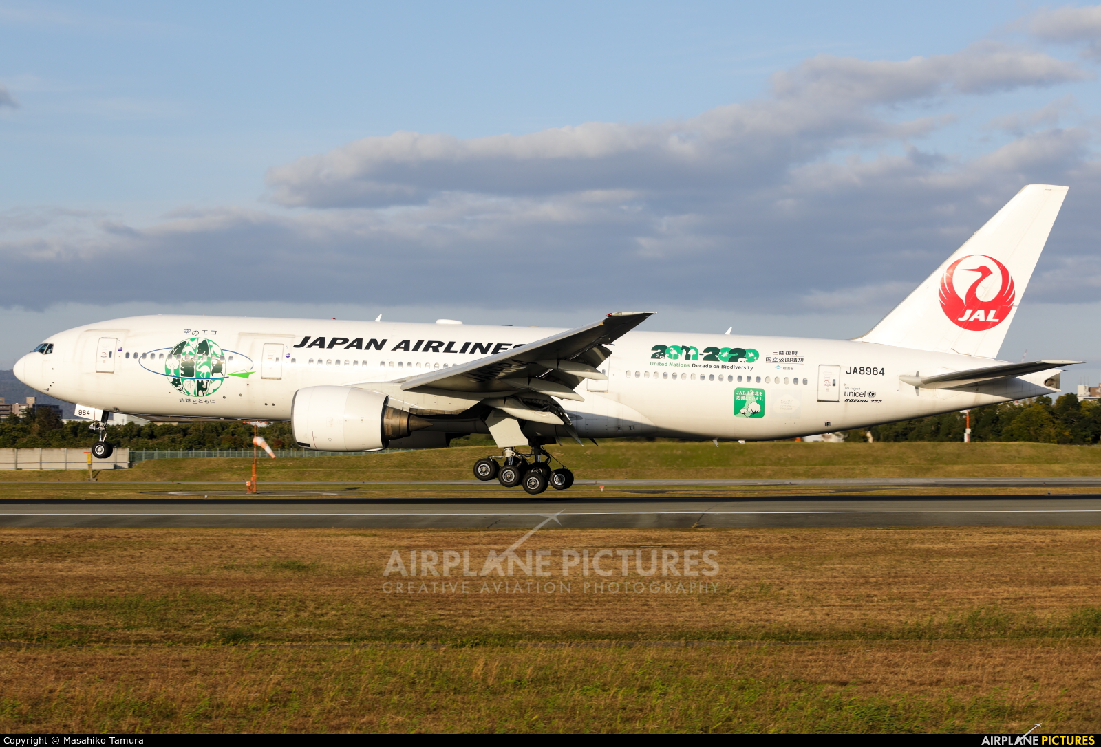 JAL - Japan Airlines JA8984 aircraft at Osaka - Itami Intl