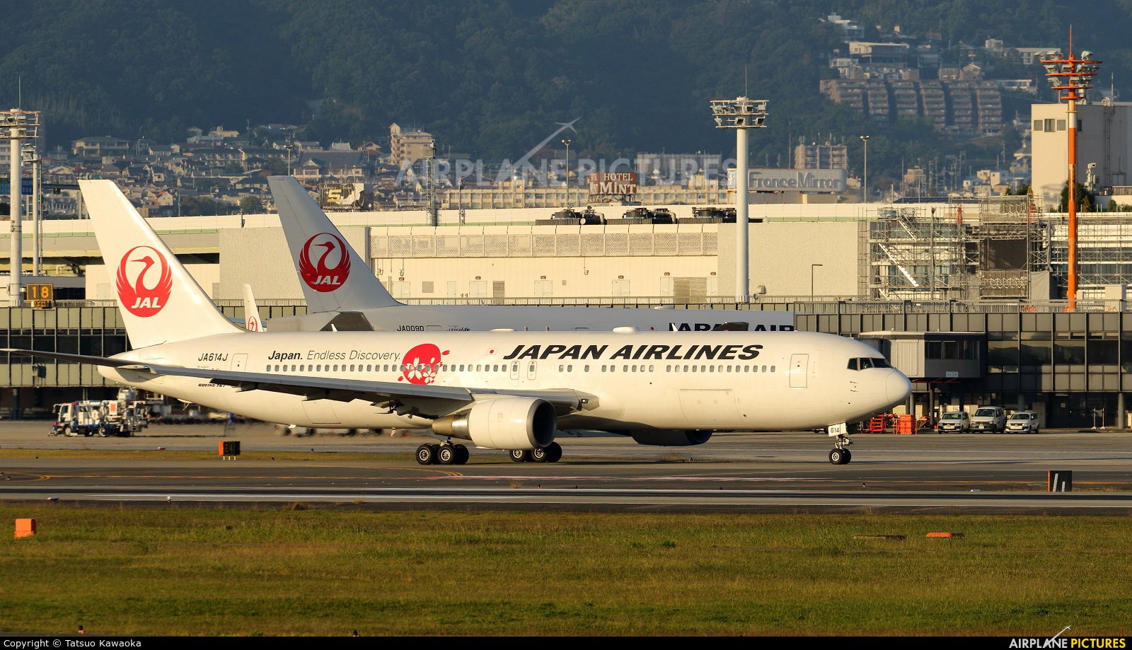 JAL - Japan Airlines JA614J aircraft at Osaka - Itami Intl