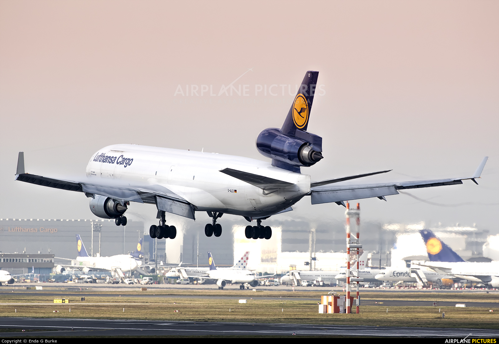 Lufthansa Cargo D-ALCI aircraft at Frankfurt