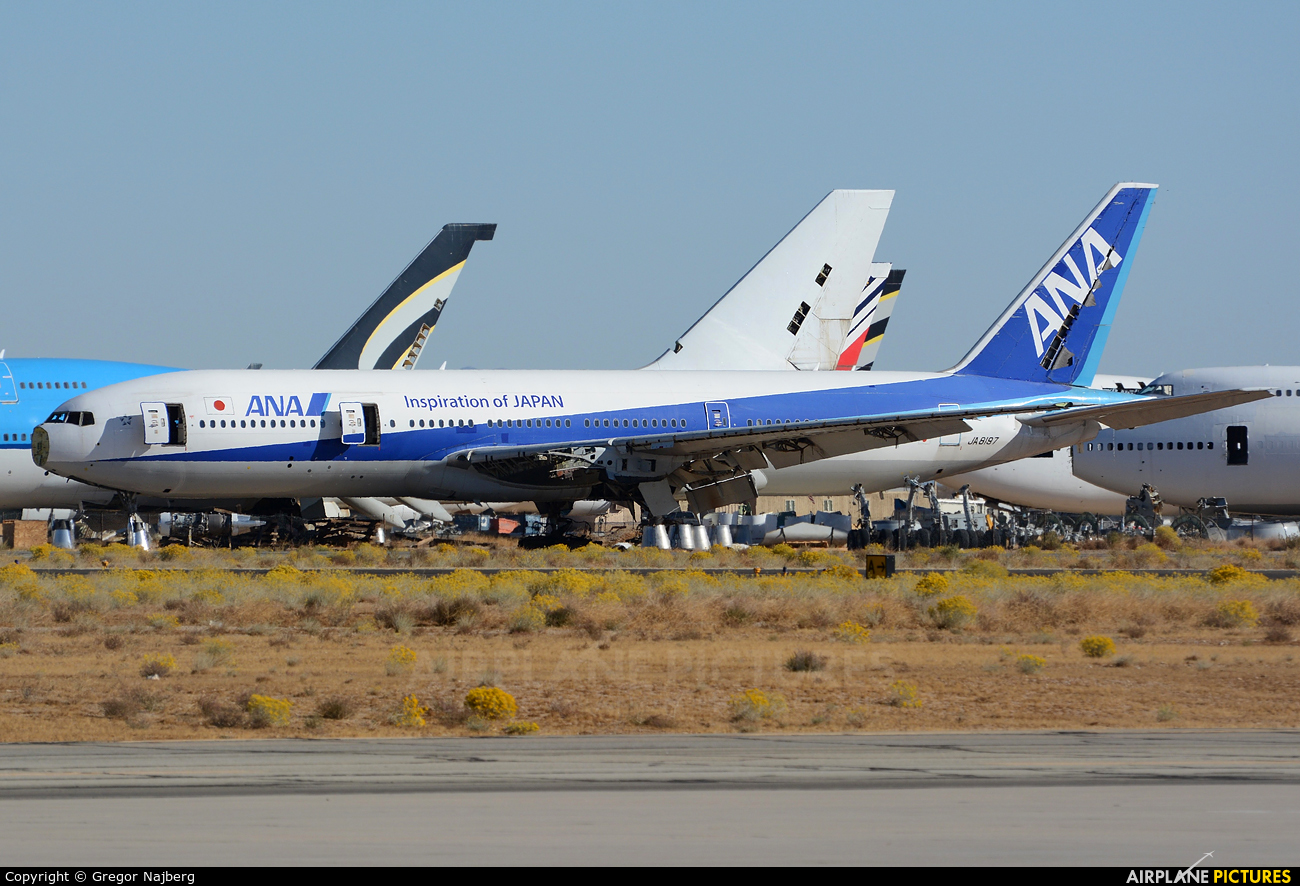 JA8197 - ANA - All Nippon Airways Boeing 777-200 at Mojave | Photo