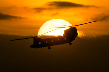 D-890 - Netherlands - Air Force Boeing CH-47F Chinook