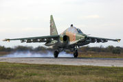 51 - Russia - Air Force Sukhoi Su-25UB aircraft